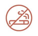 Non-smoking icon